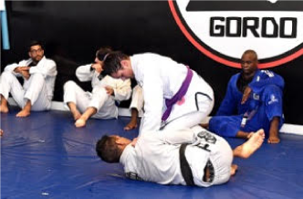Purple Belt